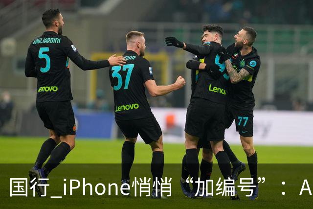 国行 iPhone悄悄“加编号”：Apple 智能 + 通义千问现身入网信息，苹果中文 AI 终于要落地？